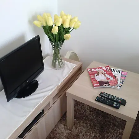 Apartament Dzialynskich 9
