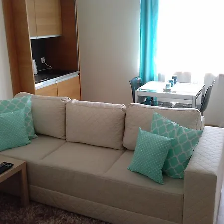 Apartment Apartament Dzialynskich 9 Poznan